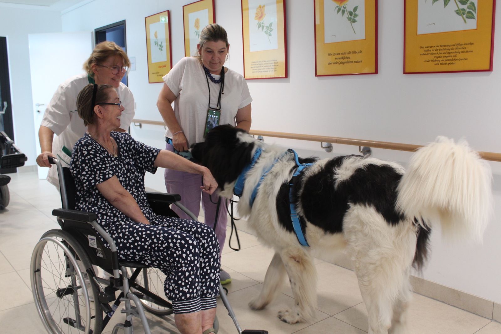 b928f8cf-4079-4f41-8f4a-ba3eb0b7fc8f