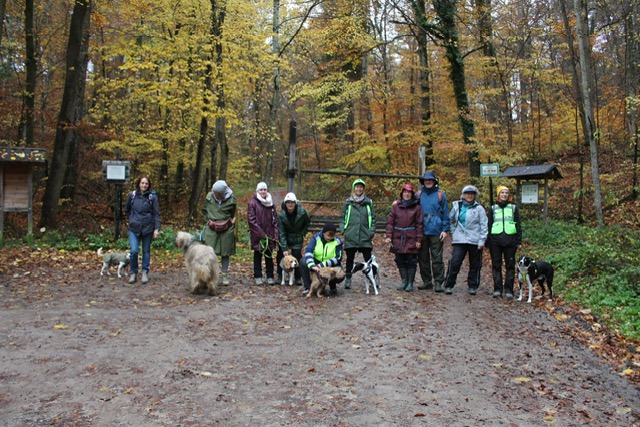 03511a46-eb82-4eb9-b5d5-18b2db523e23