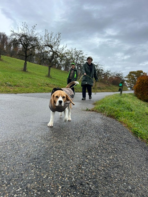 35f15b73-a236-454b-a0d1-9423e884a718