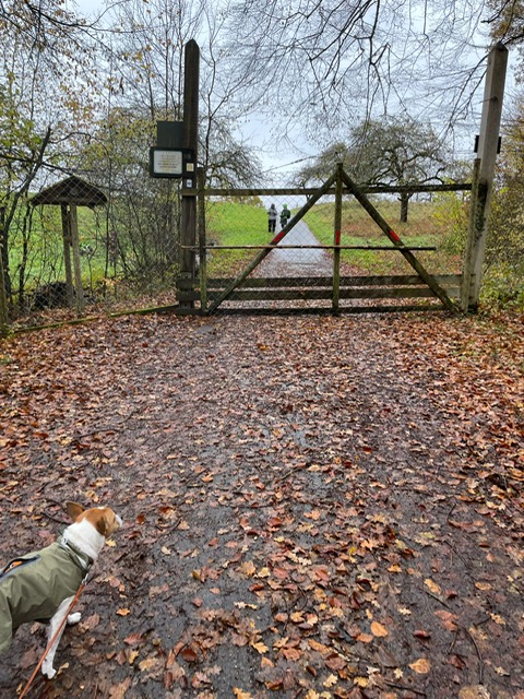 4bfd60b5-8646-43f6-a7e0-19ea02f0dc32