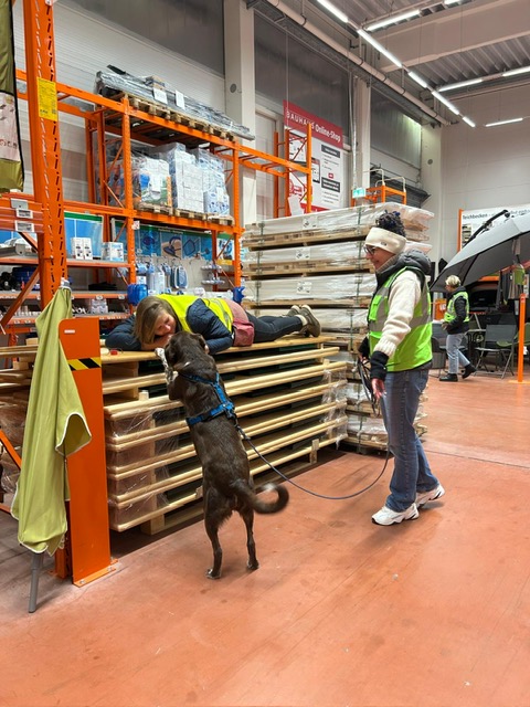 a32c57d8-df5b-4f66-9c93-6cbab64c68de