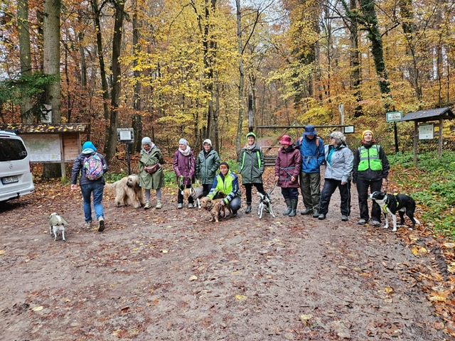 afc9f304-092f-497f-b8e2-db2600e705ee