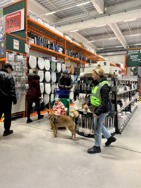 cc8b6751-895e-4fe5-bf29-f904d1be8440