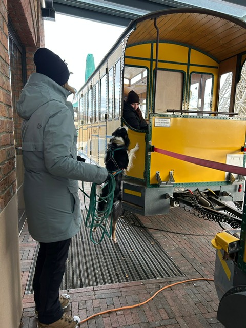 57232C86-CAEF-4A14-B216-2107A764850C