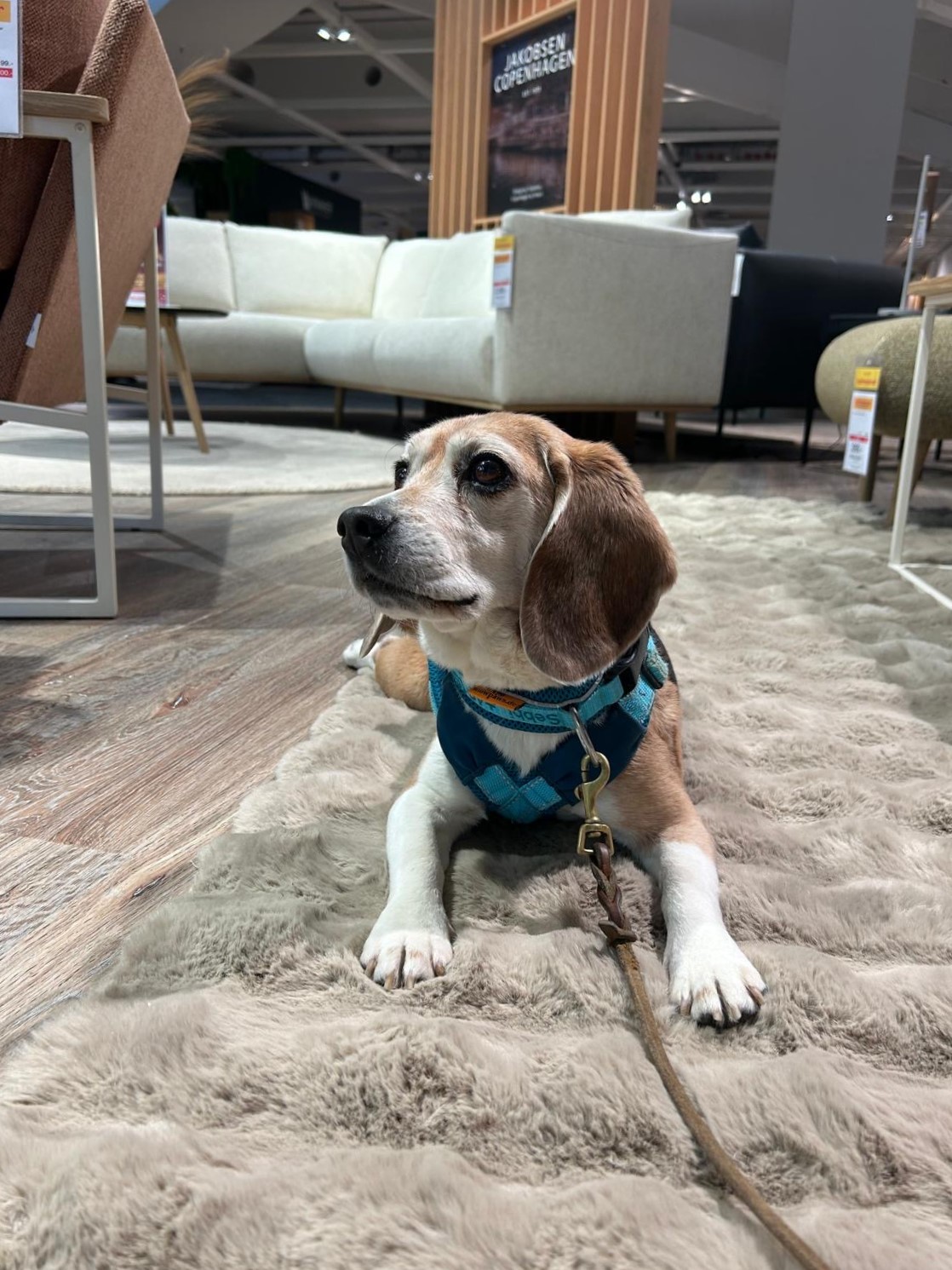 74a4a45b-e0ae-4268-bbdf-91c2a19487e4