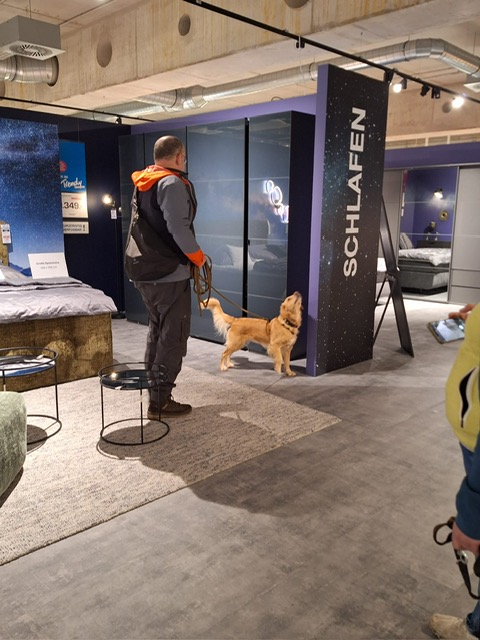 9ce6b46d-6704-4177-a5ce-374b3a4a3465