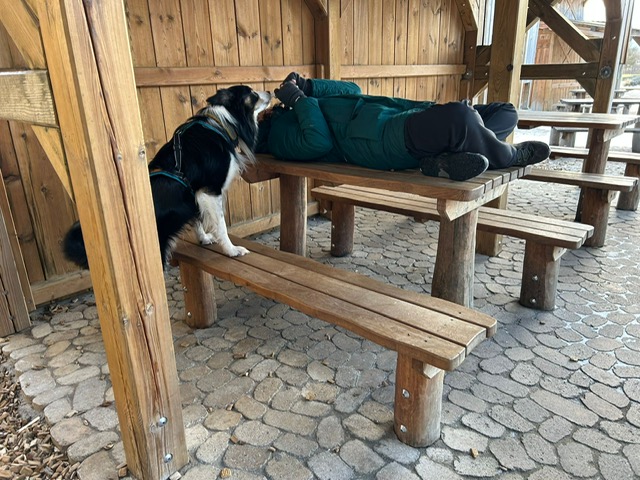 AD4268B3-F3DB-42B7-B756-BF5064306989