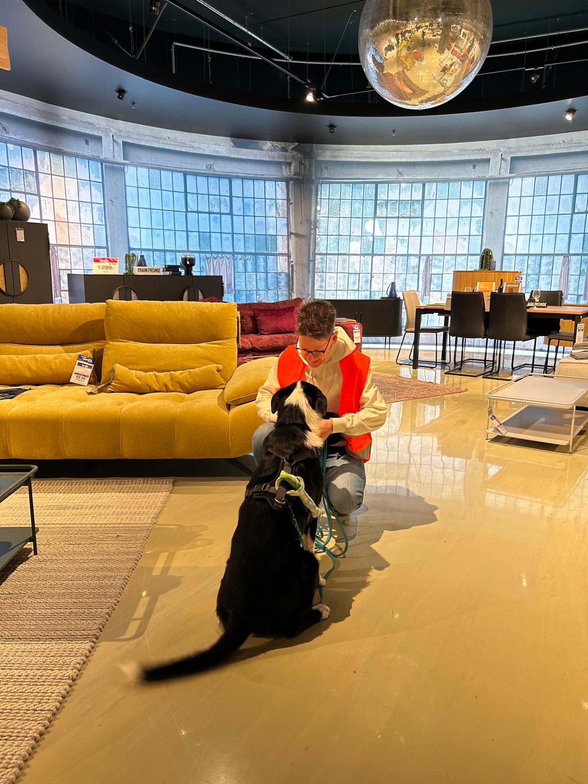 a792a903-330d-4c58-a14a-0bba00c25e57