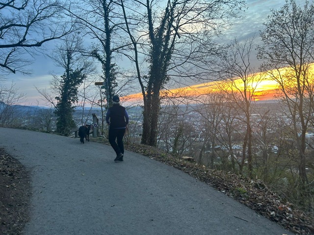 7e162ffb-85ff-4fc8-90e5-34b3d7bf7665