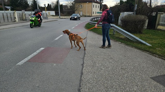 9f4b0cb6-bcdf-4432-9cfa-c94d1bb92ce6