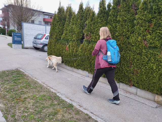 b7c670dd-2025-42f8-91ef-4372d418f77d