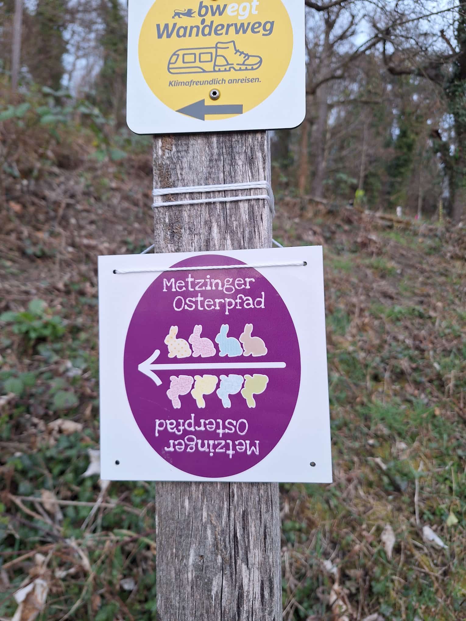 e3fde6b3-5a5b-4b7b-9dba-a0b0a5cd3ade