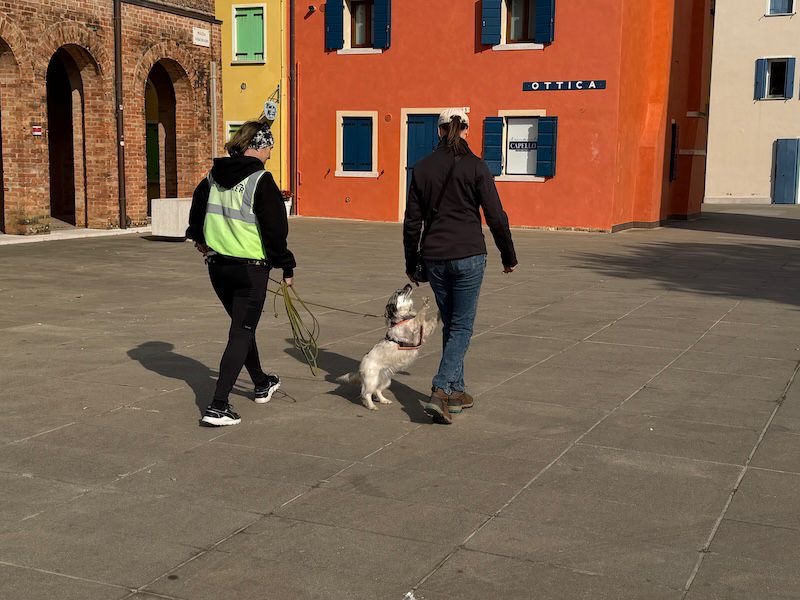 a97599bd-0da9-4d6e-ac7f-29f9928cec71