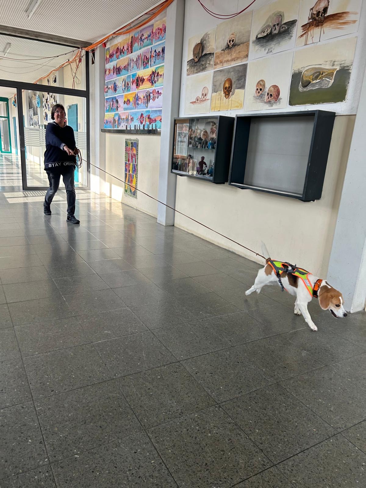 b25d2e4d-53e9-4646-8e9c-0ddb357f1f98