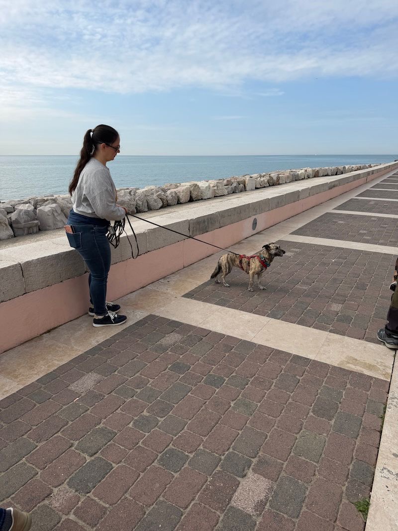 b51248f1-0afe-4f9c-97fd-9cb5b0759cbf