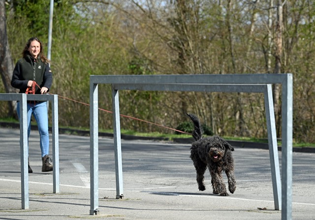 f0cfb3de-ba44-4e30-a700-d3e3a71d7d66